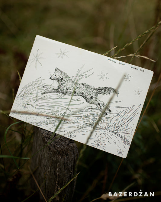 Drawing Inspired by Nature