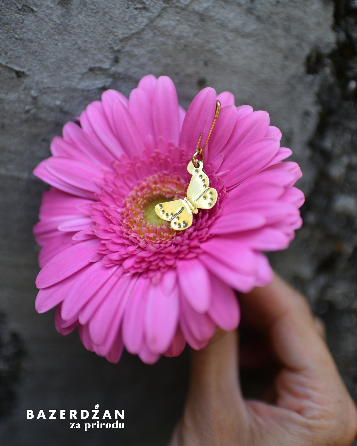 Brooch Butterfly Pucavac (Lolana Lolis) by Natasha Rubis