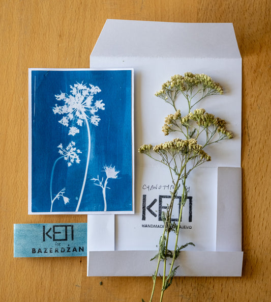 Cyanotype greeting cards by Keti Handmade
