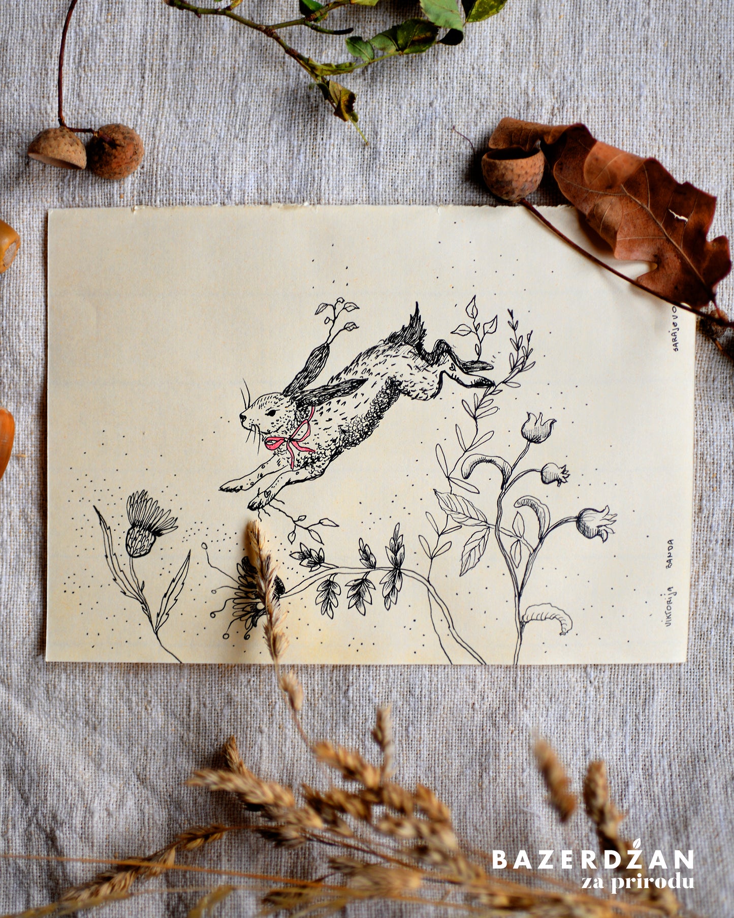 Drawing Inspired by Nature