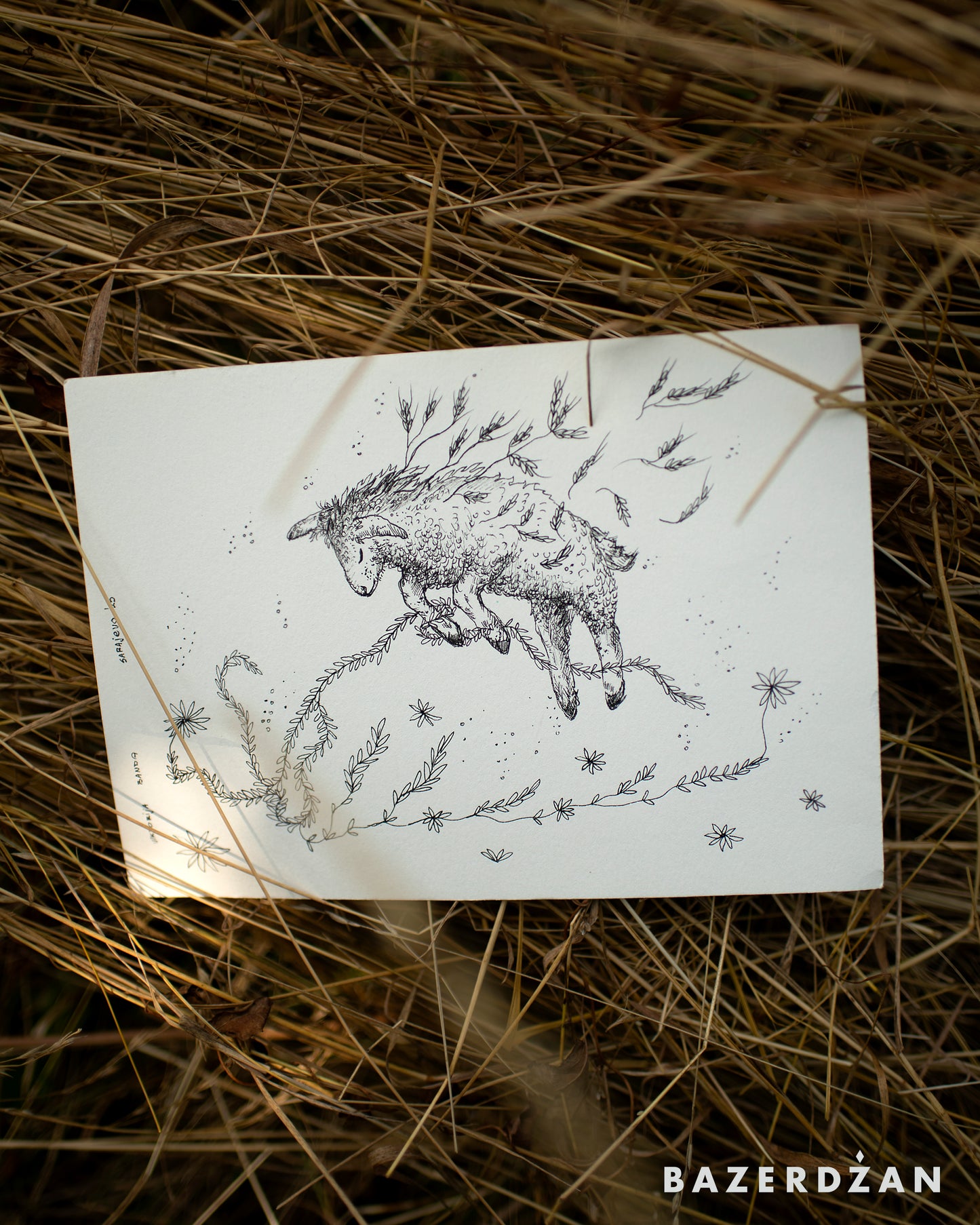 Drawing Inspired by Nature