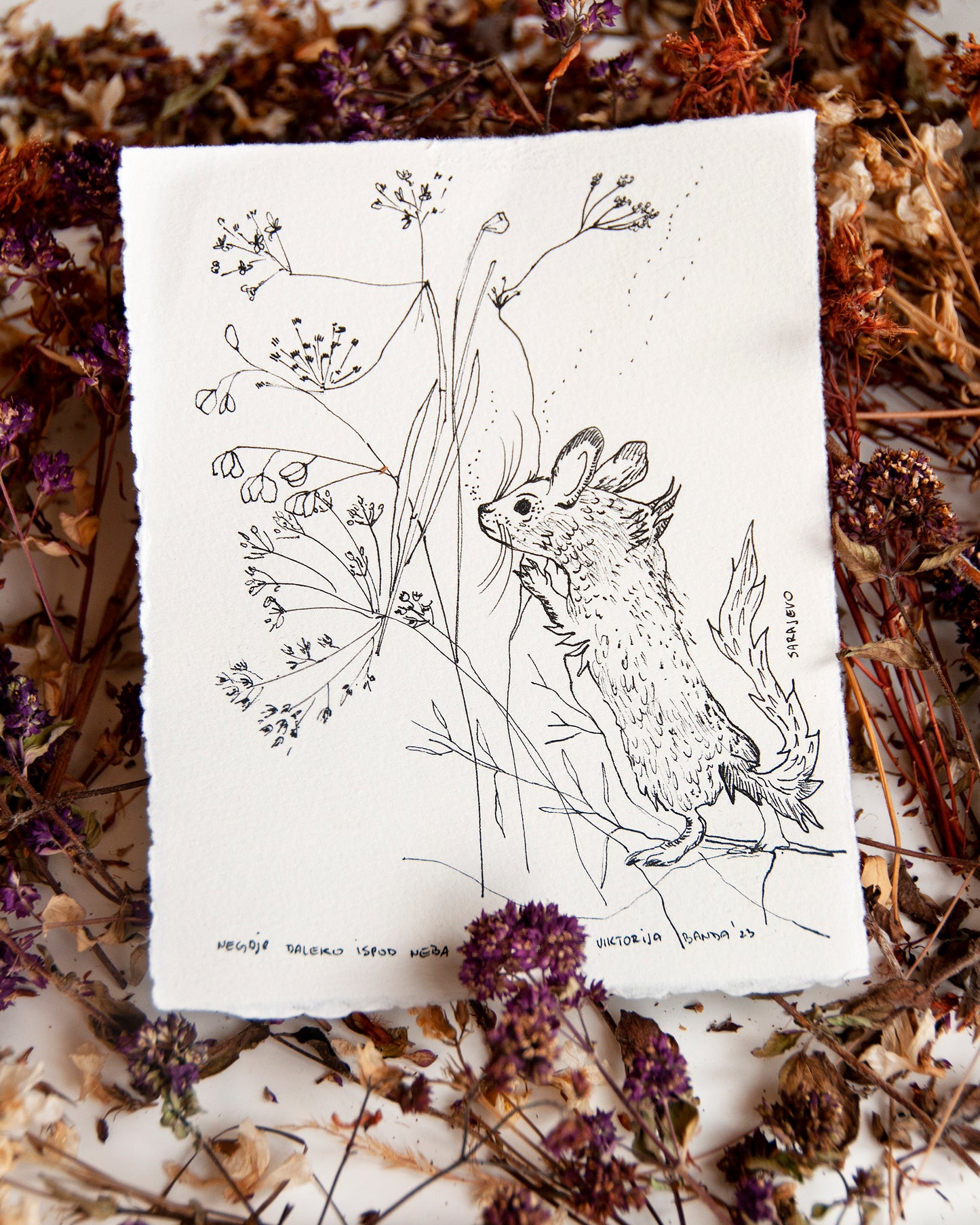 Drawing Inspired by Nature