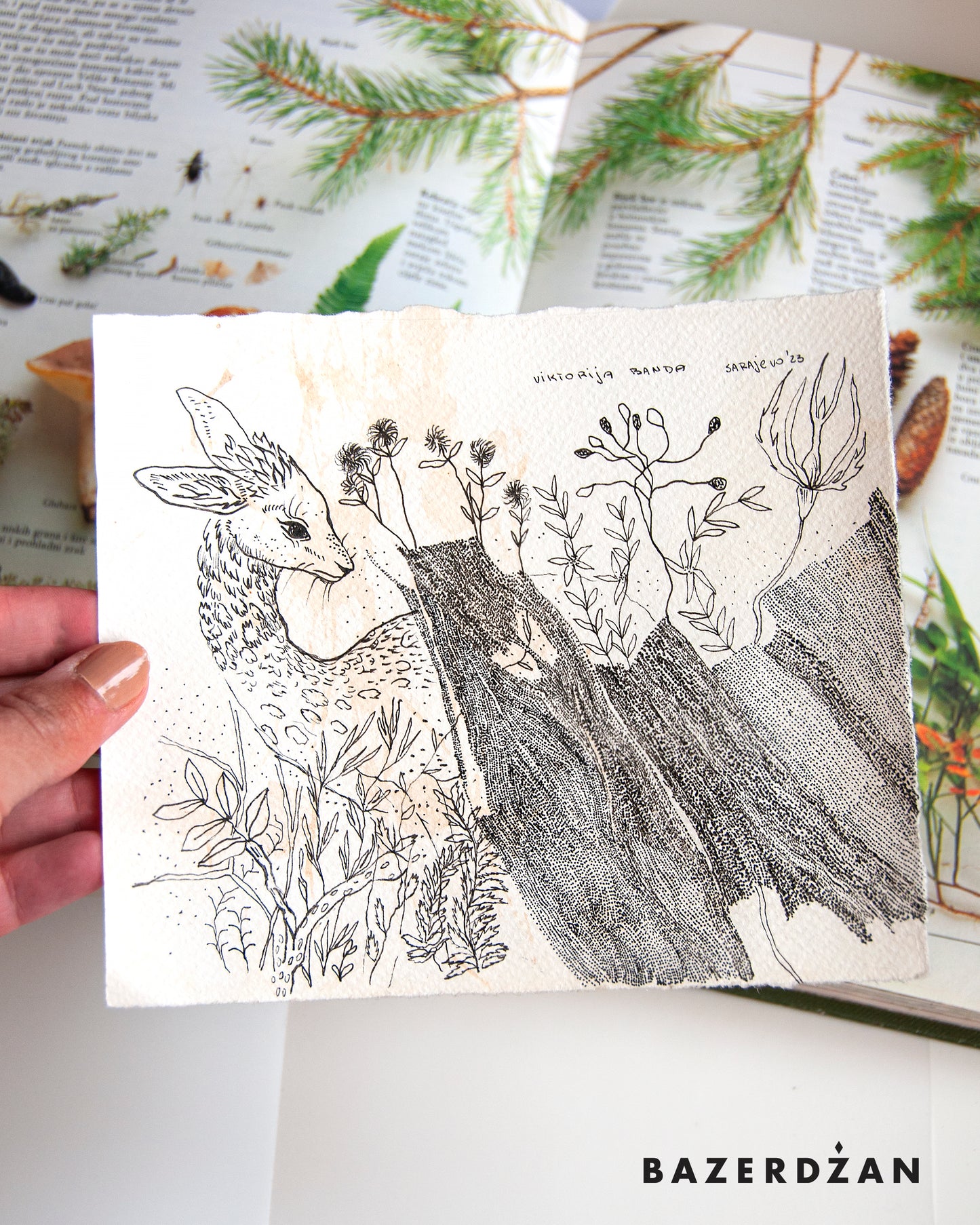 Drawing Inspired by Nature