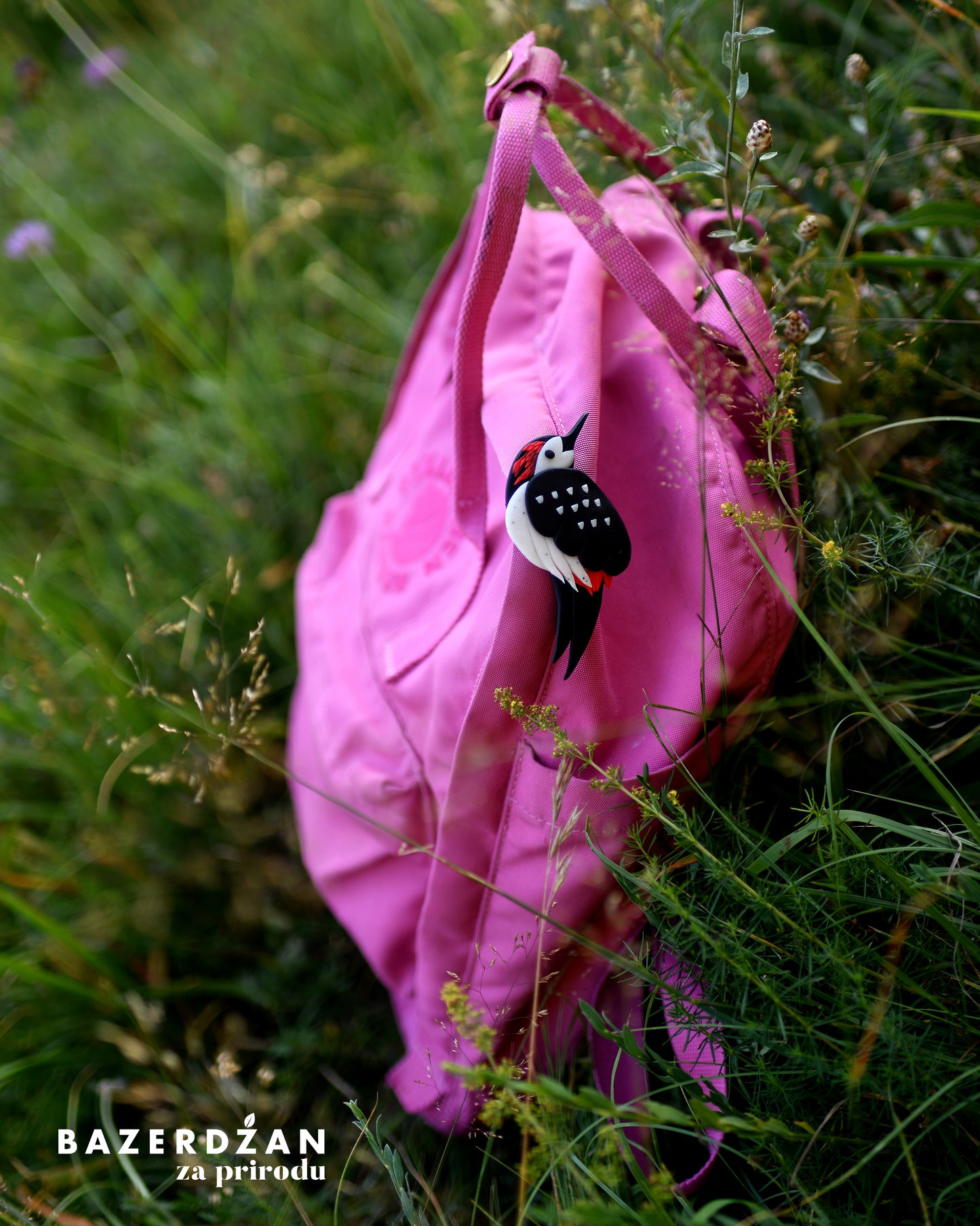Brooch Woodpecker