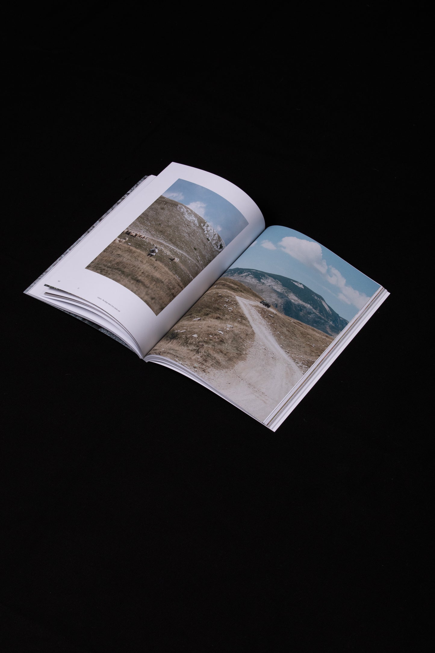 Book "New Metonyms" by Shantanu Starick & Ennis Cehic